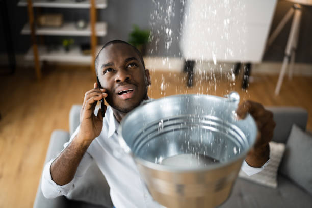Best Water damage restoration near me  in Hamburg, PA