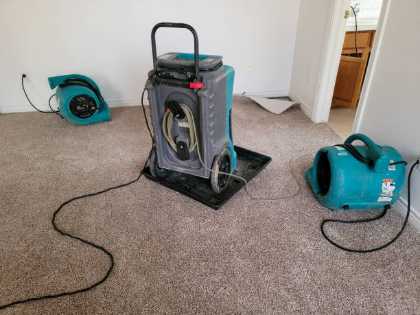 Best Residential water damage restoration  in Hamburg, PA