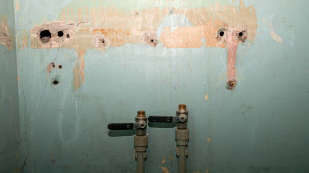 Best Water damage cleanup near me  in Hamburg, PA