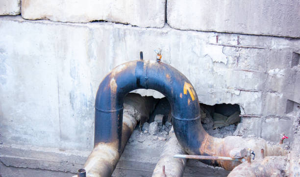 Best Water damage cleanup near me  in Hamburg, PA