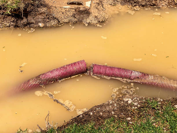 Best Basement water damage restoration  in Hamburg, PA